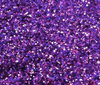 Purple Reign Glitter